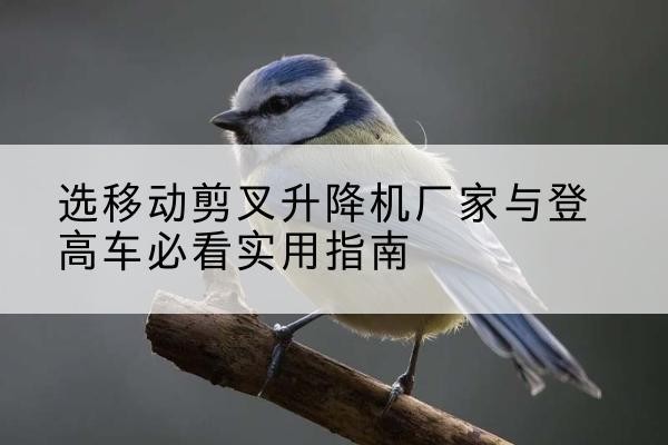 上虞电动升降机厂家-选移动剪叉升降机厂家与登高车必看实用指南