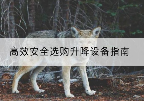 上虞升降货梯厂家推荐-*安全选购升降设备指南